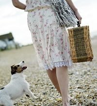 PicnicPhoto-ASunnyAfternoon